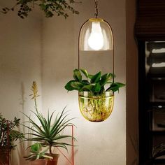 a hanging planter filled with plants on top of a table