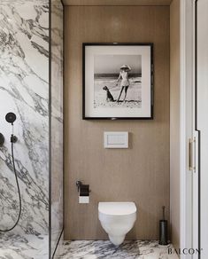 a white toilet sitting in a bathroom next to a walk in shower with a framed photo on the wall