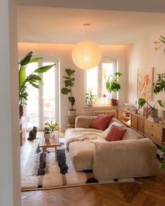 a living room filled with lots of furniture next to a large potted plant on top of a hard wood floor