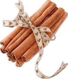 cinnamon sticks tied up with a ribbon on top of them and sitting next to each other