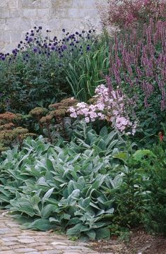 an assortment of plants and flowers in a garden area next to a brick wall with stone walkway