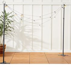 a potted plant sitting on top of a wooden floor next to two metal poles