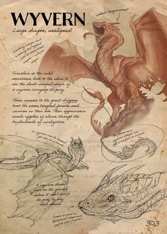 an old book with some drawings and writing on the pages, including a drawing of a dragon