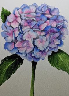 Hydrangea Decor, Hydrangea Tattoo, Sea Creatures Art, Watercolor Hydrangea, Home Decor Blue, Watercolor Blog, Floral Home Decor, Pink Hydrangea