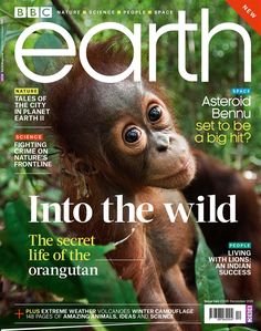 a magazine cover with an image of a baby orangutan in the jungle