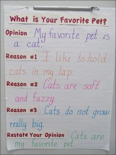 a piece of paper with writing on it that says, what is your favorite pet?