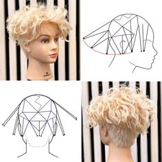 Haircut Techniques, Women With Curly Hair, Curly Undercut, Short Spiked Hair, Spiked Hair, Curl Pattern, Undercut Pixie, Pixie Haircuts, Short Haircut