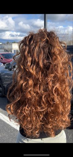 Auburn Toned Hair, Light Brown Ginger Curly Hair, Copper Brown Hair With Highlights Curly Hair, Cowboy Copper Hair On Curly Hair, Light Brown Copper Curly Hair, Cowgirl Copper On Curly Hair, Caramel Highlights On Auburn Hair, Curly Cowboy Copper, Honey Copper Hair Curly