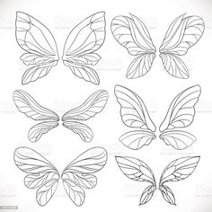 four different types of butterfly wings in black and white stock photo, images and royalty