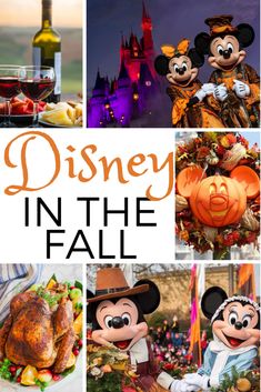 disney in the fall with pumpkins, wine and mickey mouse heads on it's head