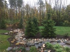 a garden with rocks and trees in the background