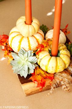 two candles are sitting on top of some pumpkins