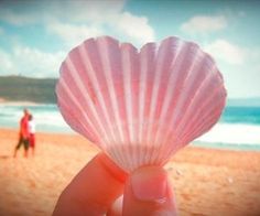 a person holding up a pink shell on the beach