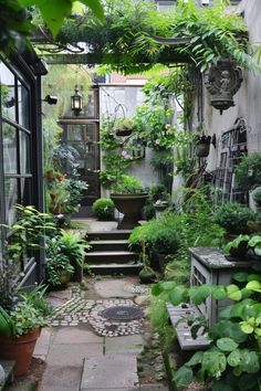 an outdoor garden with lots of plants and potted plants on either side of the walkway