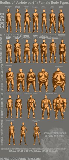 an info sheet showing the different types of human body shapes