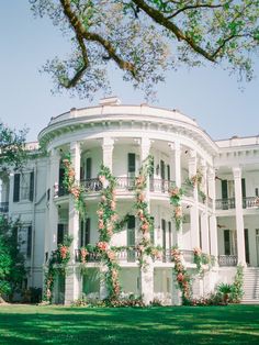 a large white building with lots of windows and flowers on the side of it in front of a tree