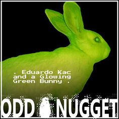 a green bunny with the words odd nugget on it's back side