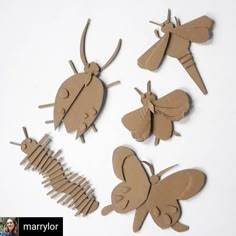 four pieces of cardboard cut out to look like insects