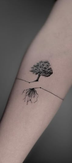 a small tree on the arm with roots