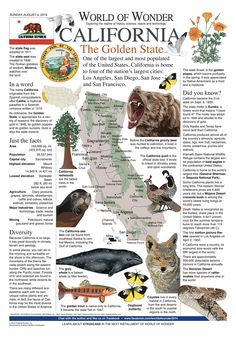 the california state map is shown with animals and other things to see in this image