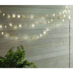 a string of lights is hanging on the side of a wall next to a potted plant