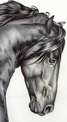 a black and white drawing of a horse's head