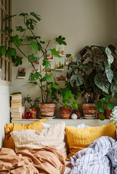 a living room filled with lots of potted plants