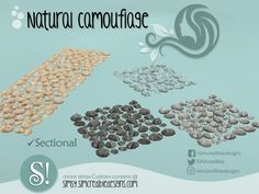 various types of rocks and pebbles are shown in this graphic style, with the words natural camouflage