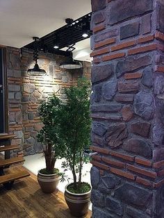 an indoor area with stone walls and wooden benches, potted plants on the floor