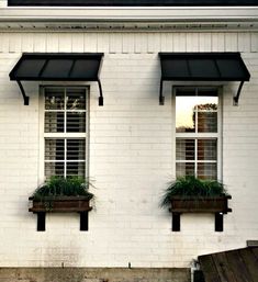 two windows with plants in them on the side of a building