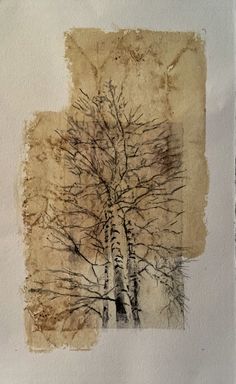 a drawing of trees with no leaves on them