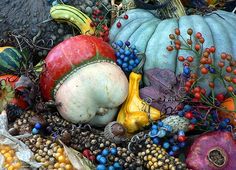 an assortment of pumpkins, gourds and berries are arranged on the ground