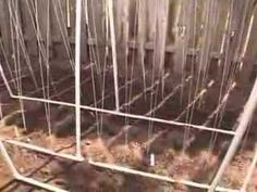 the inside of an old fenced in area with dirt and weeds growing on it