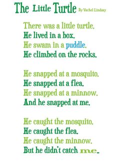 a poem written in green and blue with words below it that read, the little turtle