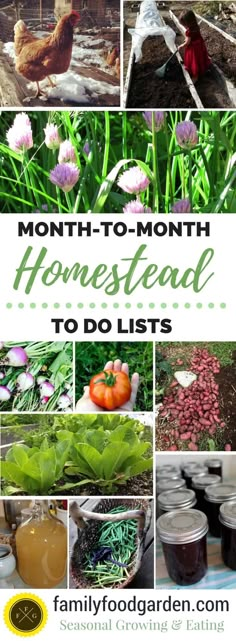 the cover of month - to - month homested to do lists with pictures of farm animals and vegetables