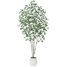 a white potted plant with green leaves on it's top and bottom, in front of a white background