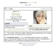 an image of a person's profile on the webpage for grey hair dye