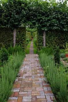 a brick pathway between two trees in a garden with lots of greenery on either side