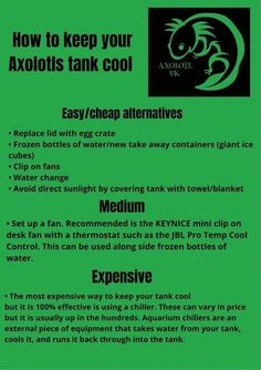 a green poster with instructions on how to keep your axolos tank cool