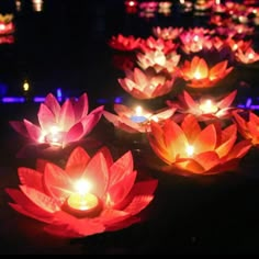 lit candles are floating on water lilies in a pond at night with bright lights