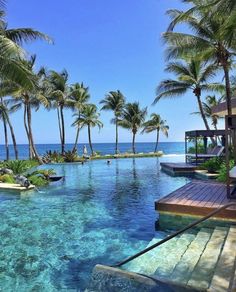 an outdoor swimming pool surrounded by palm trees and the ocean in the backgroud