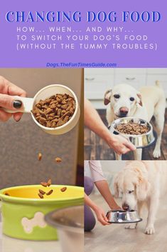 a woman feeding her dog food from a bowl with the words, changing dog food how when and why to switch your dog's food without the tummy troubles