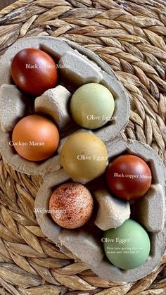 an image of different colored eggs in a basket