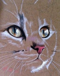 a drawing of a cat's face with colored pencils on the bottom half of it