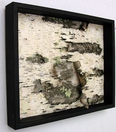 an image of a white birch tree with the words'19 framed on the wall because birch bark is already so beautiful via made at the lake