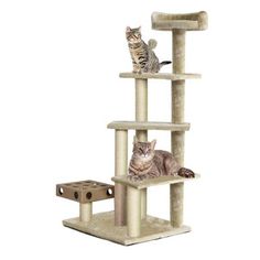 two cats are sitting on top of a cat tree and one is looking at the camera