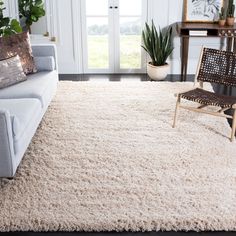 a living room filled with furniture and a white rug