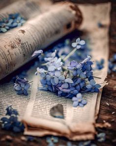 some blue flowers are on top of an old book