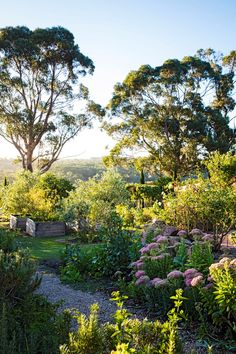 the garden is full of flowers and trees