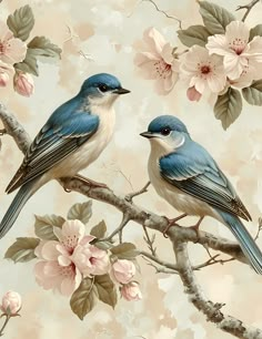 two blue birds sitting on top of a tree branch next to pink and white flowers